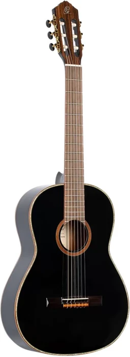 Ortega R221