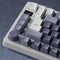 RK Royal Kludge M75 Wireless, weiß/violett, LEDs RGB, hot-swap, RK BROWN, USB/Bluetooth, DE Vorschaubild