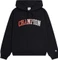 Champion College-Logo Hoodie (Damen) Vorschaubild
