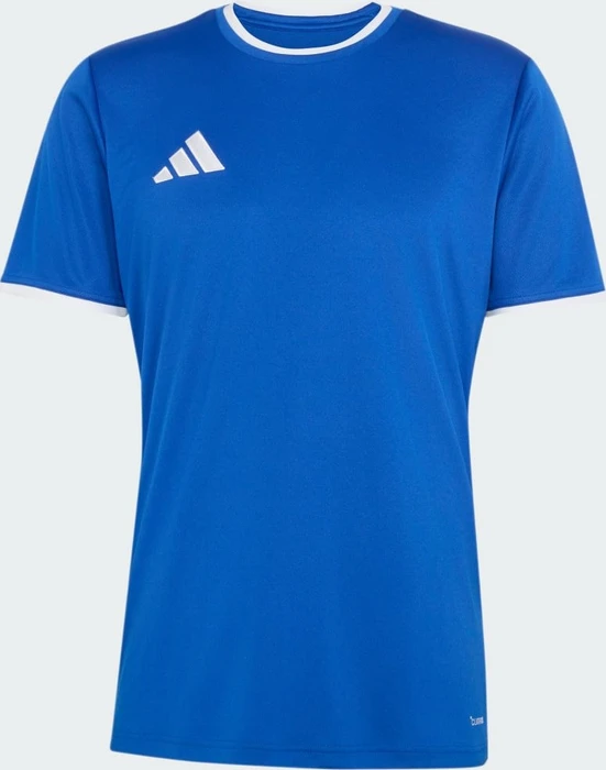 adidas Entrada 26 Trikot kurzarm royal blue/white (Herren)