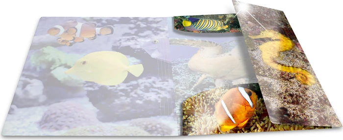 Herma Glossy Tiere Sammelmappe, A3, Fische, 3er-Pack