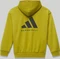 adidas Basketball Hoodie pulse olive Vorschaubild