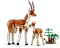 LEGO Creator 3in1 - Tiersafari Vorschaubild