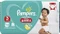 Pampers Baby-Dry pants Gr.3 Einwegwindel, 6-11kg Vorschaubild