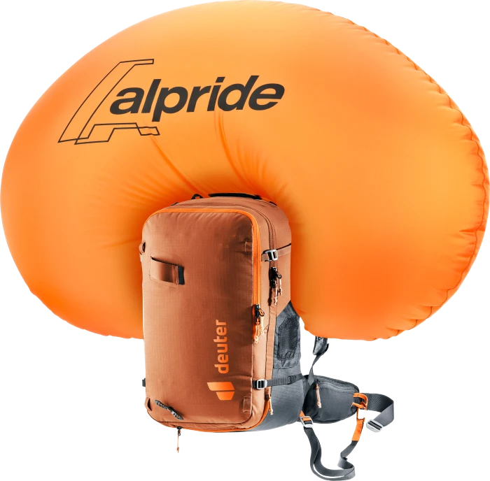 Deuter Alproof 32 chestnut/black