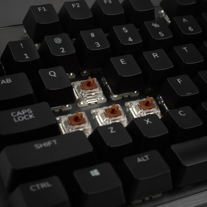 Mountain Everest Core, TKL, LEDs RGB, Gunmetal Gray, MX RGB BROWN, USB, DE