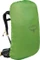 Osprey Sirrus 26 succulent green (Damen) Vorschaubild