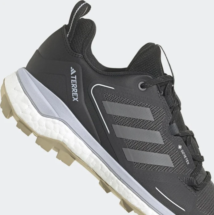 adidas Terrex Skychaser GTX 2.0 core black/halo silver/halo blue (Damen)