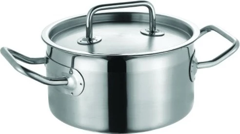 Schulte-Ufer Profi Line i Bratentopf 20cm 3l