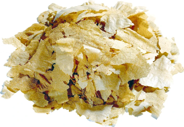 Aquarium Münster Dr. Bassleer Biofish-Food Forte Flake, 35g