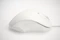 Matias Wired PBT Mouse weiß, USB-C Vorschaubild