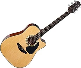 Takamine GD30CE-NAT Natural