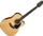 Takamine GD30CE-NAT Natural