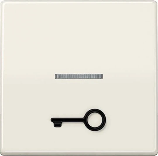 Jung Serie AS Wippe mit abtastbarem Symbol "Tür", weiß
