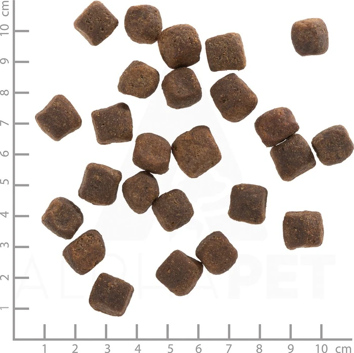 Wolfsblut Dark Forest Adult, 12.50kg