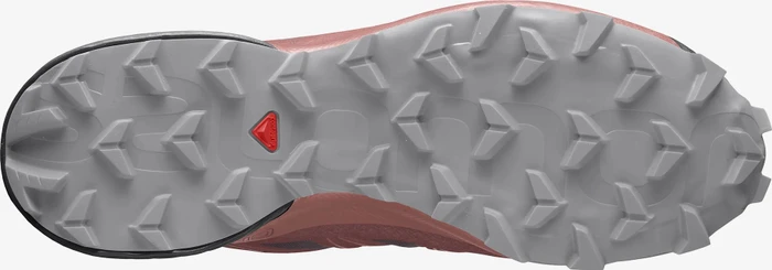 Salomon Speedcross 5 apple butter/wine tasting/alloy (Damen)