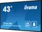 iiyama ProLite LH4354UHS-B1AG, 42.5" Vorschaubild