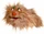 Living Puppets Faulpelz (W891)
