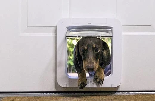 Sure Petcare SureFlap Connect Microchip XL Haustierklappe, weiß