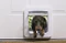 Sure Petcare SureFlap Connect Microchip XL Haustierklappe, weiß Vorschaubild