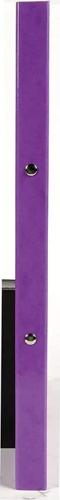 Exacompta Iderama Ringbuch 2-Ring, 20mm, A4, violett