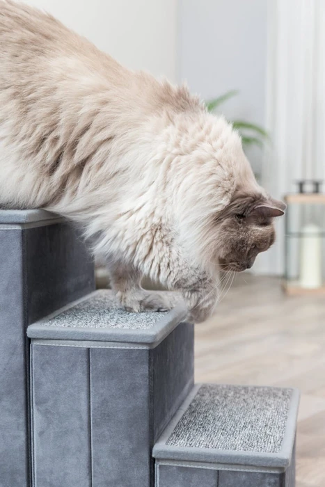 Trixie Treppe, Samt, zusammenklappbar, grau