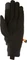 Mammut Astro Handschuhe schwarz Vorschaubild