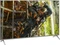 Panasonic TX-65GXW904 Vorschaubild