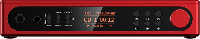 FiiO DM15 R2R schwarz