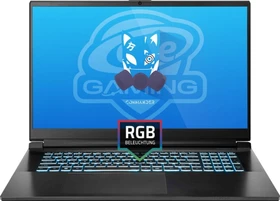 ONE GAMING Commander V73-13NB-RN10, Core i9-13900H, 16GB RAM, 1TB SSD, GeForce RTX 4050, DE