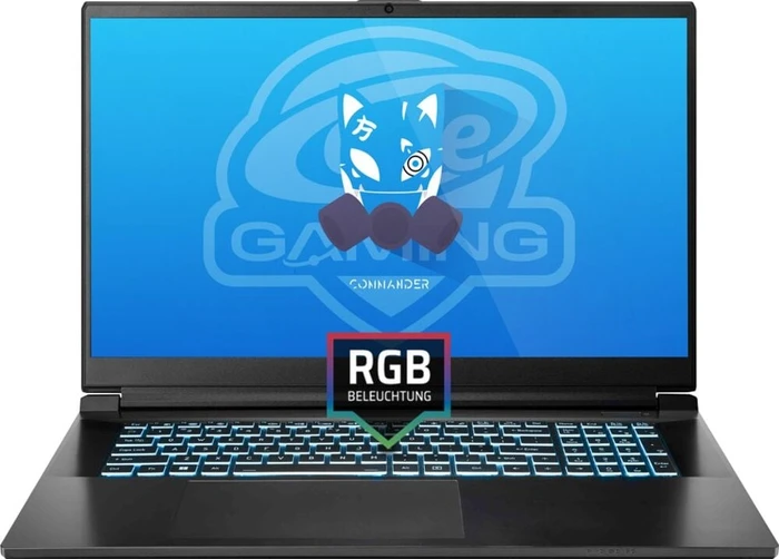 ONE GAMING Commander V73-13NB