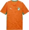 Puma FIFA WM 2026 Elfenbeinküste Vorschaubild