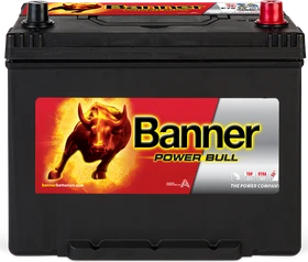 Banner Power Bull P7029