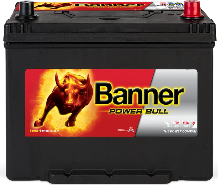 Banner Power Bull P7029