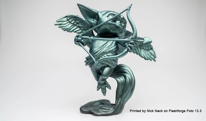Flashforge Foto 13.3