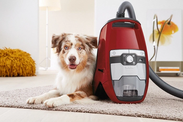 Miele Blizzard CX1 Cat&Dog PowerLine SKCF5 mangorot