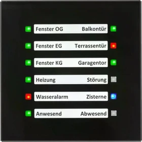 MDT Glas LED Anzeige schwarz
