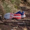 adidas Terrex Soulstride Flow dash grey/pure ruby/semi lucid blue (Herren) Vorschaubild