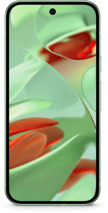 Google Pixel 9 128GB Wintergreen ab € 489,99 (2026