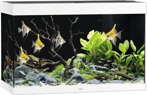 Juwel Rio 290