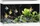 Juwel Rio 290 LED Aquarium-Set mit Unterschrank, weiß/weiß, 290l (02450)