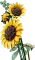 LEGO Botanicals - Sonnenblumen Vorschaubild