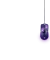 Razer Cobra Pokemon Gengar Edition, USB Vorschaubild