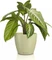 Lechuza Classico Color Deco 14 Vorschaubild