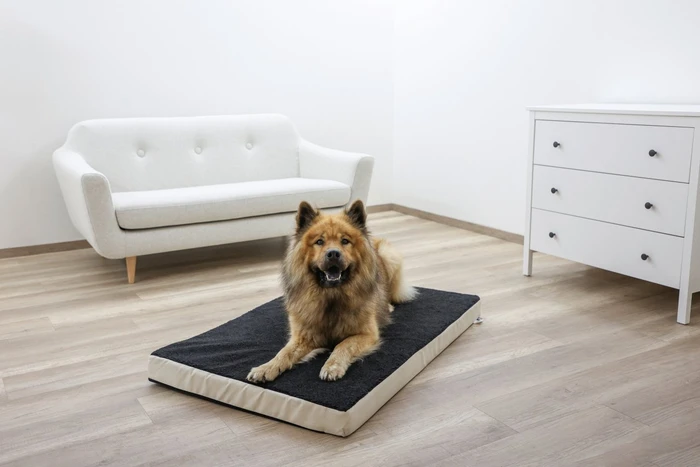 Kerbl Matratze Memory-Foam, 80x50x8cm, beige/anthrazit