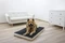Kerbl Matratze Memory-Foam, 80x50x8cm, beige/anthrazit Vorschaubild