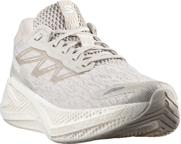 Salomon Aero Glide 4 silver cloud/white (Herren)