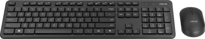 ASUS CW100 Wireless Keyboard and Mouse Set, mit Copilot-Taste, schwarz, USB, DE