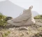 adidas Terrex Free Hiker 2.0 sand strata/wonder beige (Herren) Vorschaubild