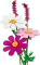 LEGO Botanicals - Kosmeen Vorschaubild